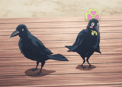 Two Black Birds Standing On Wooden Floor GIF