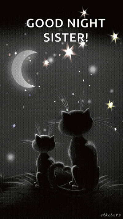 Two Black Cats Before Crescent Moon Wishing Good Night Sister GIF