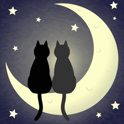 Two Black Cats Sit On A Crescent Moon With Stars In The Background GIF
