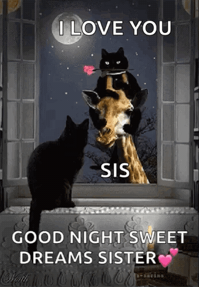 Two Black Cats Sitting On Giraffe Saying I Love You Sis Good Night Sweet Dreams Sister GIF