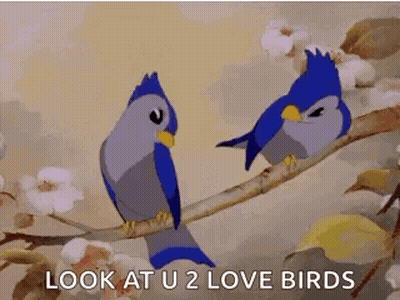 Two Blue Birds Are Perched On A Tree Branch And Looking At Each Other . GIF