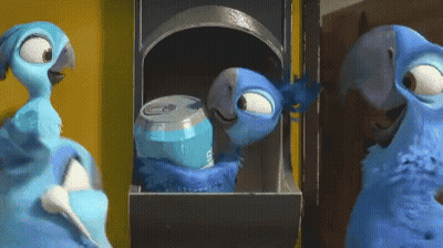 Two Blue Birds One With Soda Can GIF