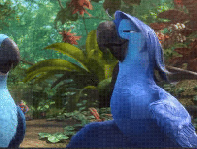 Two Blue Birds Standing In Lush Green Forest GIF