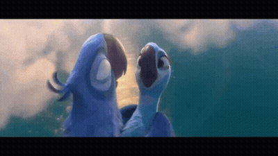 Two Blue Birds Standing In Water GIF