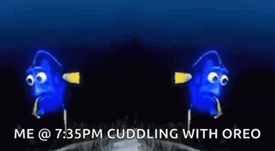 Two Blue Fish Hugging GIF