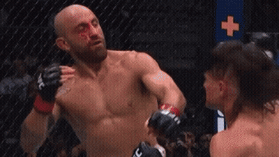 Two Boxers Fighting, One Bleeding GIF
