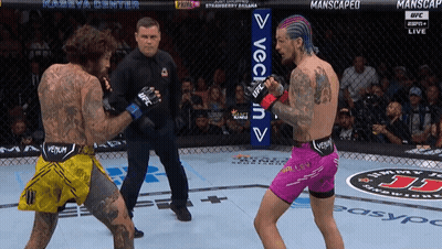 Two Boxers Fighting, One In Pink Venum Shorts GIF