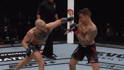 Two Boxers Fighting One In Reebok Shorts GIF