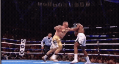 Two Boxers Fighting One With J On Shorts GIF