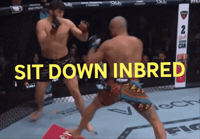 Two Boxers Fighting Sit Down Inbred GIF