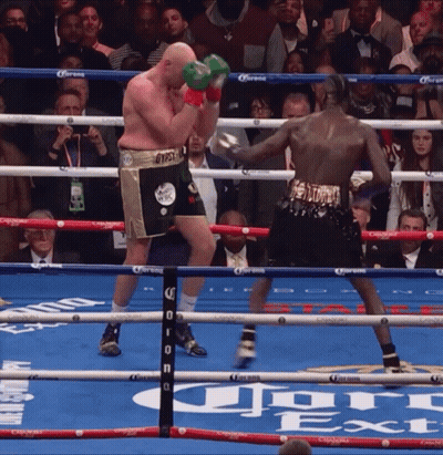 Two Boxers In Boxing Ring With Corona Advertisement GIF