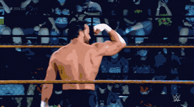 Two Boxers In Boxing Ring With Everlast Auto Parts GIF