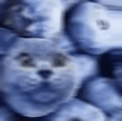Two Boxers One Orthodox Stance GIF