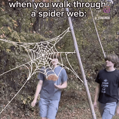 Two Boys Walking Through Spider Web In Woods GIF