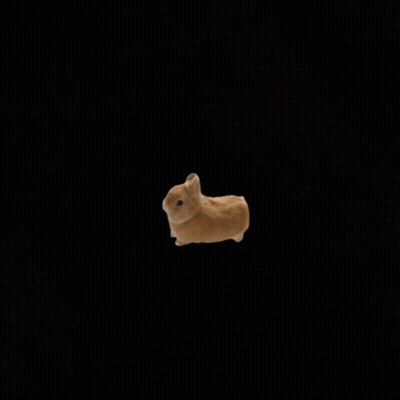 Two Brown Rabbits Standing Together GIF