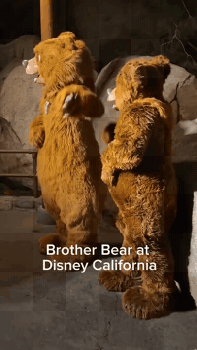 Two Brown Teddy Bears Are Standing Next To Each Other With The Caption Brother Bear At Disney California GIF
