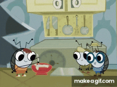 Two Bugs In Kitchen Make A Gif