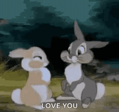 Two Bunny Rabbits Sitting Next To Each Other In Field GIF