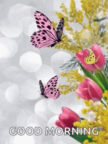 Two Butterflies Are Flying Over A Bouquet Of Pink Flowers And The Words `` Good Morning '' . GIF