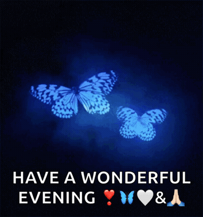 Two Butterflies Have A Wonderful Evening GIF