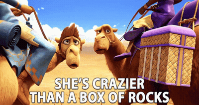 Two Camels Saying She's Crazier Than A Box Of Rocks GIF