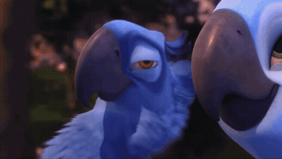 Two Cartoon Birds Looking At Each Other One With Yellow Eye GIF