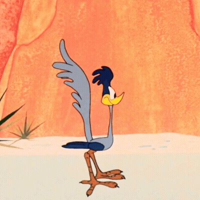 Two Cartoon Birds On Beach GIF