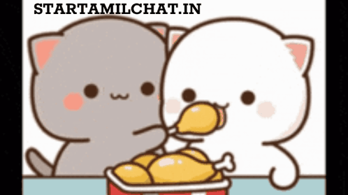 Cats Eating Chicken From Bucket GIF
