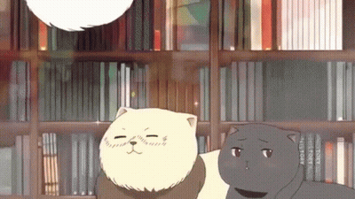 Two Cartoon Cats Are Standing Next To Each Other In Front Of A Bookshelf That Says History GIF