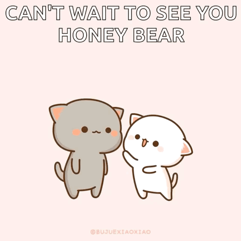 Two Cartoon Cats Can't Wait To See You Honey Bear GIF