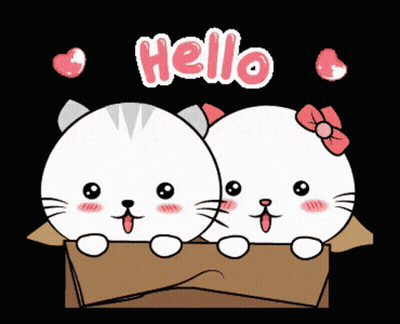 Two Cartoon Cats In Cardboard Box With Hello GIF