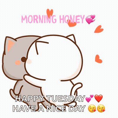 Two Cartoon Cats Kissing Morning Honey Happy Tuesday