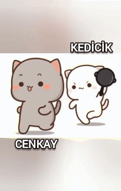 Two Cartoon Cats Named Cenkay And Kedicik GIF