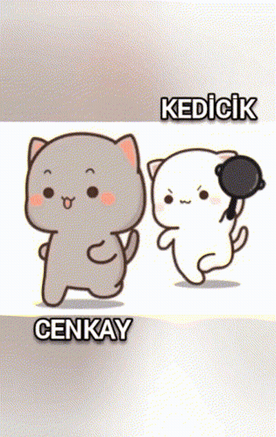 Two Cartoon Cats With Cenkay GIF
