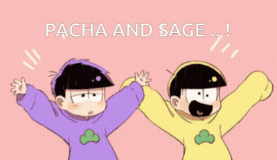 Two Cartoon Characters Are Standing Next To Each Other And The Words Pacha And Sage Are Above Them GIF