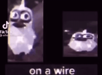 Two Cartoon Characters Saying On A Wire GIF