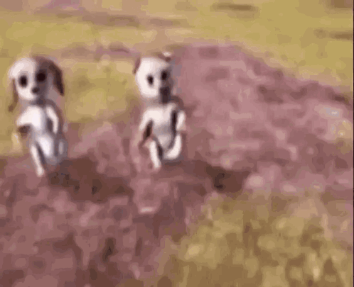 Two Cartoon Dogs Are Walking In A Field And Looking At The Camera . GIF
