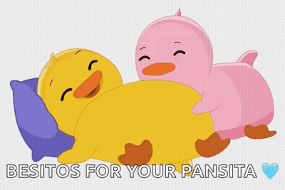 Two Cartoon Ducks Besos For Your Pansita GIF