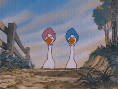 Two Cartoon Ducks Wearing Pink And Blue Hats Standing Next To Each Other GIF