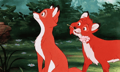 Two Cartoon Foxes Standing Together GIF