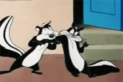 Two Cartoon Skunks Standing In Front Of Blue Door GIF