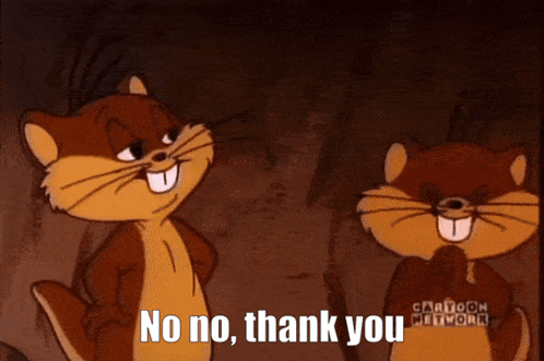 Two Cartoon Squirrels Are Standing Next To Each Other And One Of Them Says No No Thank You GIF