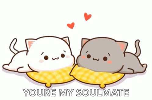 Two Cats Are Laying On A Pillow With The Words `` You 'Re My Soulmate '' Written Below Them . GIF