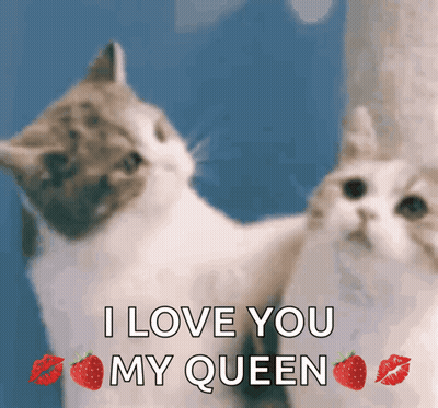 Two Cats Are Looking At Each Other With The Words " I Love You My Queen " GIF