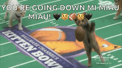 Two Cats Are Playing A Game Of Kitten Bowl On A Football Field GIF