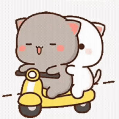 Two Cats Are Riding A Scooter Together . GIF