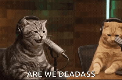 Two Cats Are Sitting At A Table In Front Of Microphones And One Of Them Is Yawning . GIF