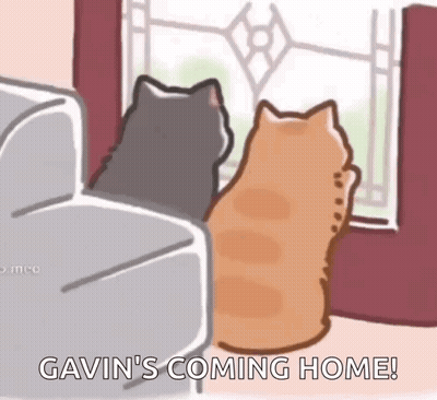 Two Cats Are Sitting On A Couch Looking Out Of A Window And Saying Gavin 'S Coming Home . GIF