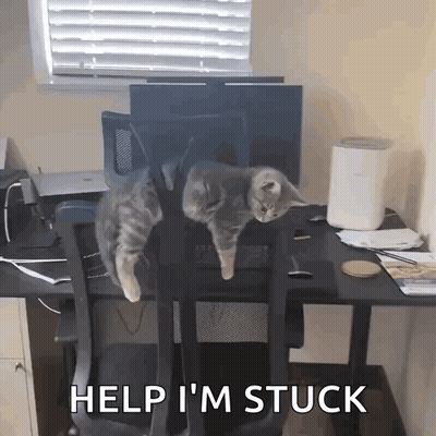 Two Cats Are Sitting On A Desk With The Words Help I 'M Stuck Below Them GIF