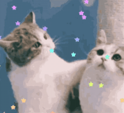 Two Cats Are Standing Next To Each Other And Looking Up At The Stars GIF